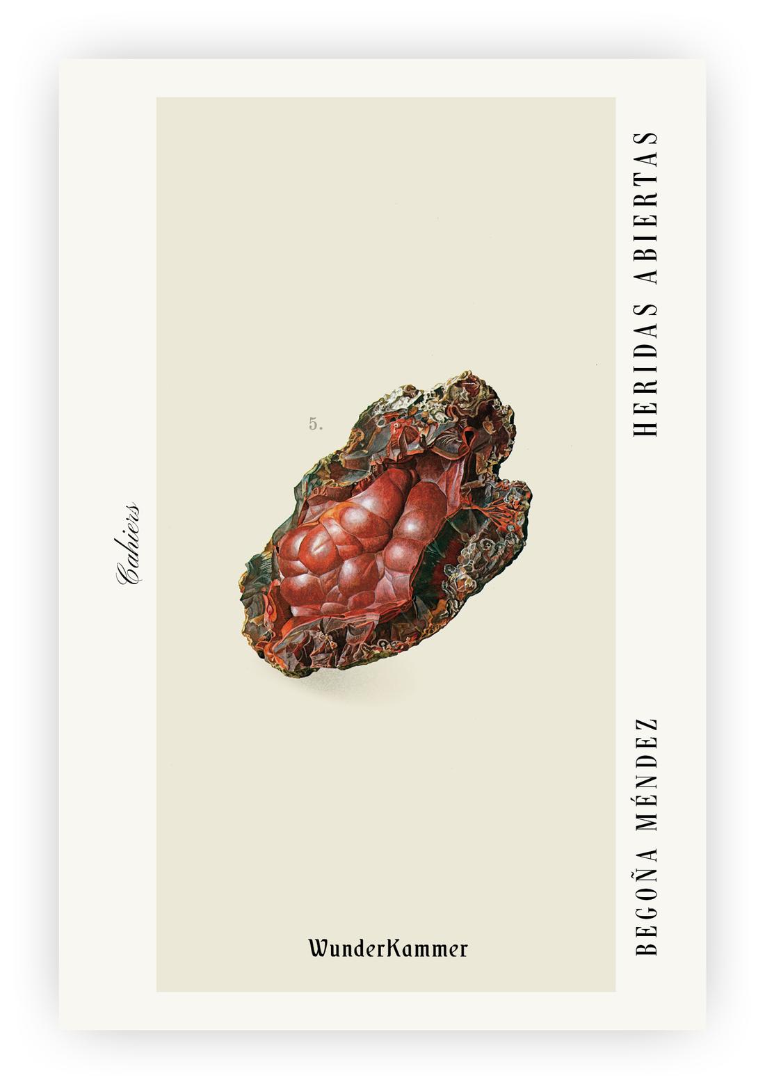 Heridas abiertas (Paperback)