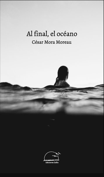 Al final, el océano (Kindle Edition)