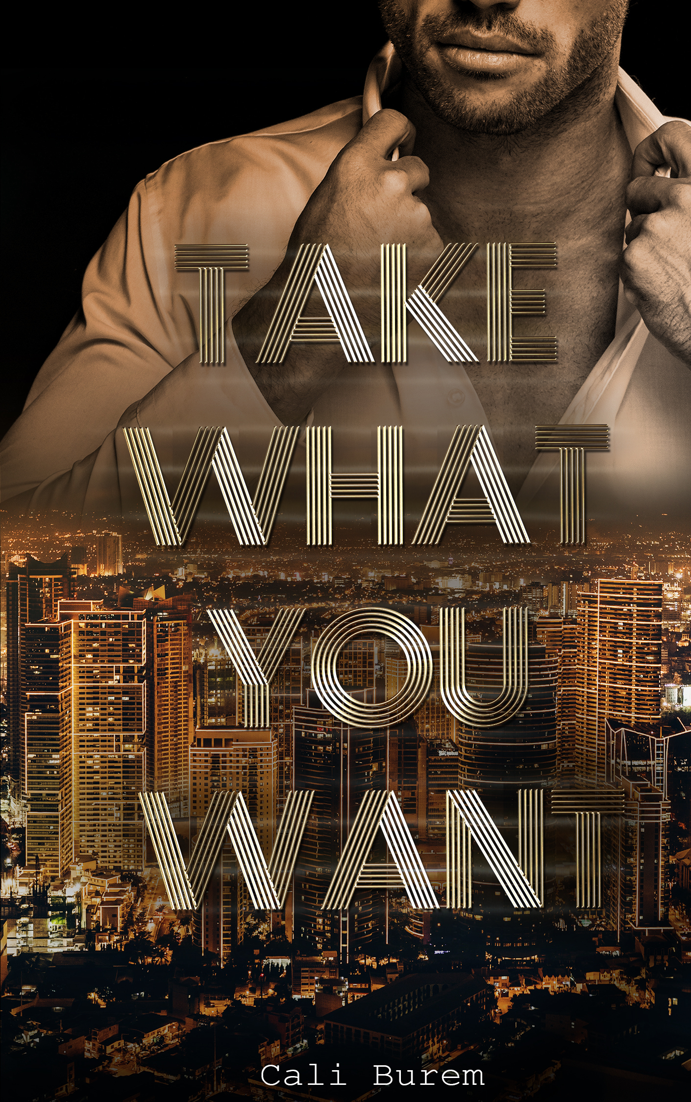Take What You Want (Lusaka Lovers #3)