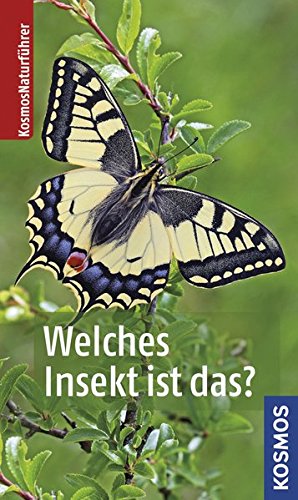 Welches Insekt ist das? (Paperback)