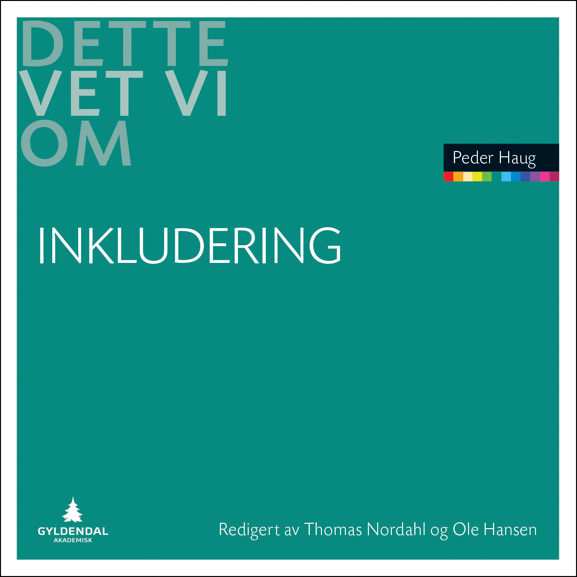 Dette vet vi om inkludering