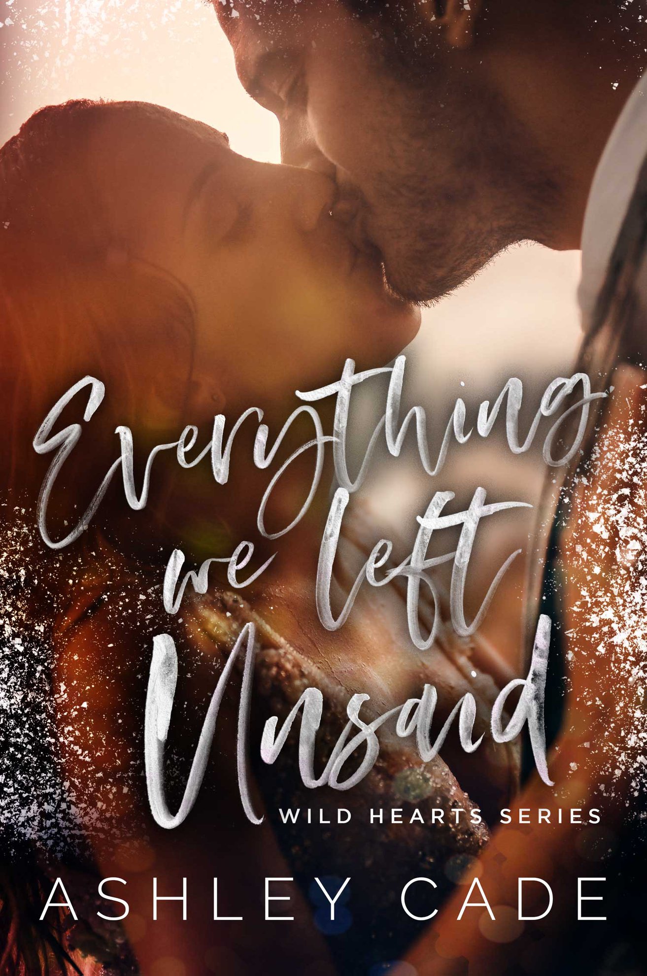 Everything We Left Unsaid (Wild Hearts, #2)