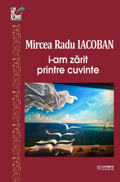 I-am zărit printre cuvinte