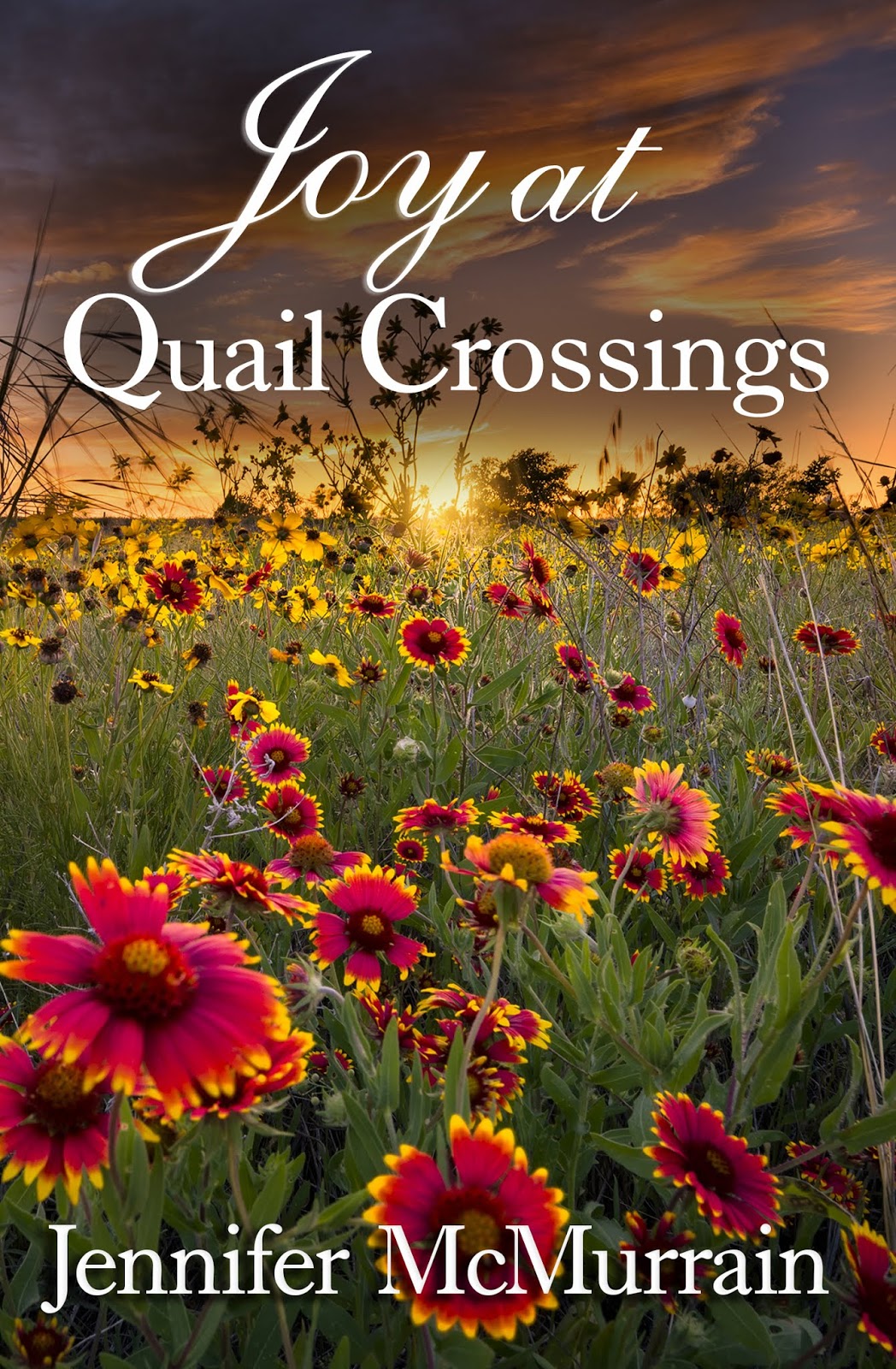 Joy at Quail Crossings (Quail Crossings, #5)