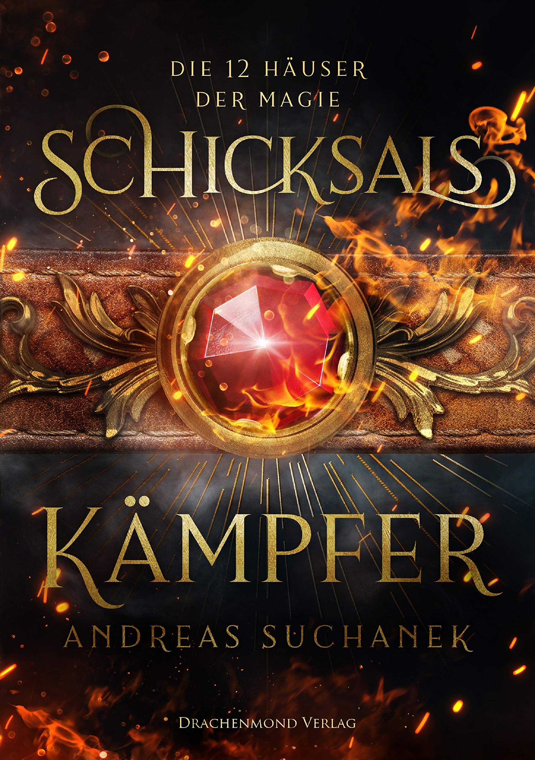 Schicksalskämpfer (Die 12 Häuser der Magie #2)