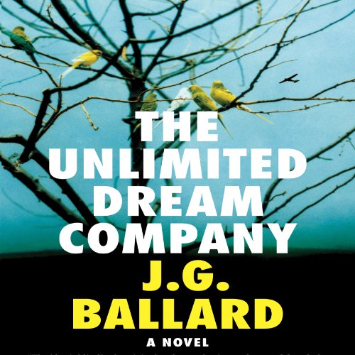 The Unlimited Dream Company