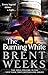 The Burning White (Lightbringer #5)