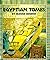 Egyptian Tombs (A First Book)