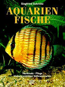 Aquarienfische. Merkmale, Pflege, Haltung wichtiger Süßwasserarten.