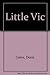 Little Vic