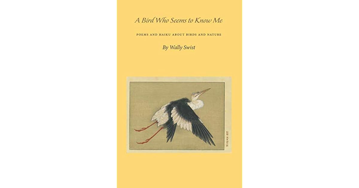 A Bird Who Seems To Know Me By Wally Swist