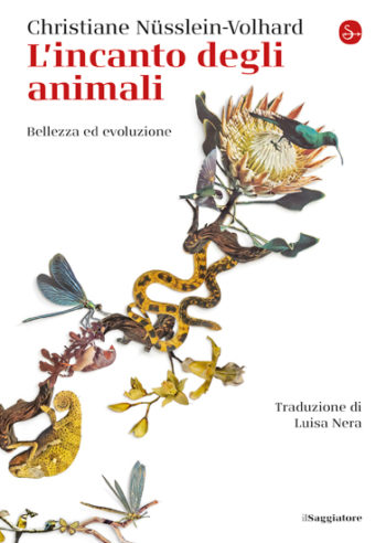 L'incanto degli animali: Bellezza ed evoluzione