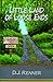 Little Land of Loose Ends