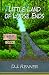 Little Land of Loose Ends