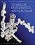 Technical Mathematics with ...