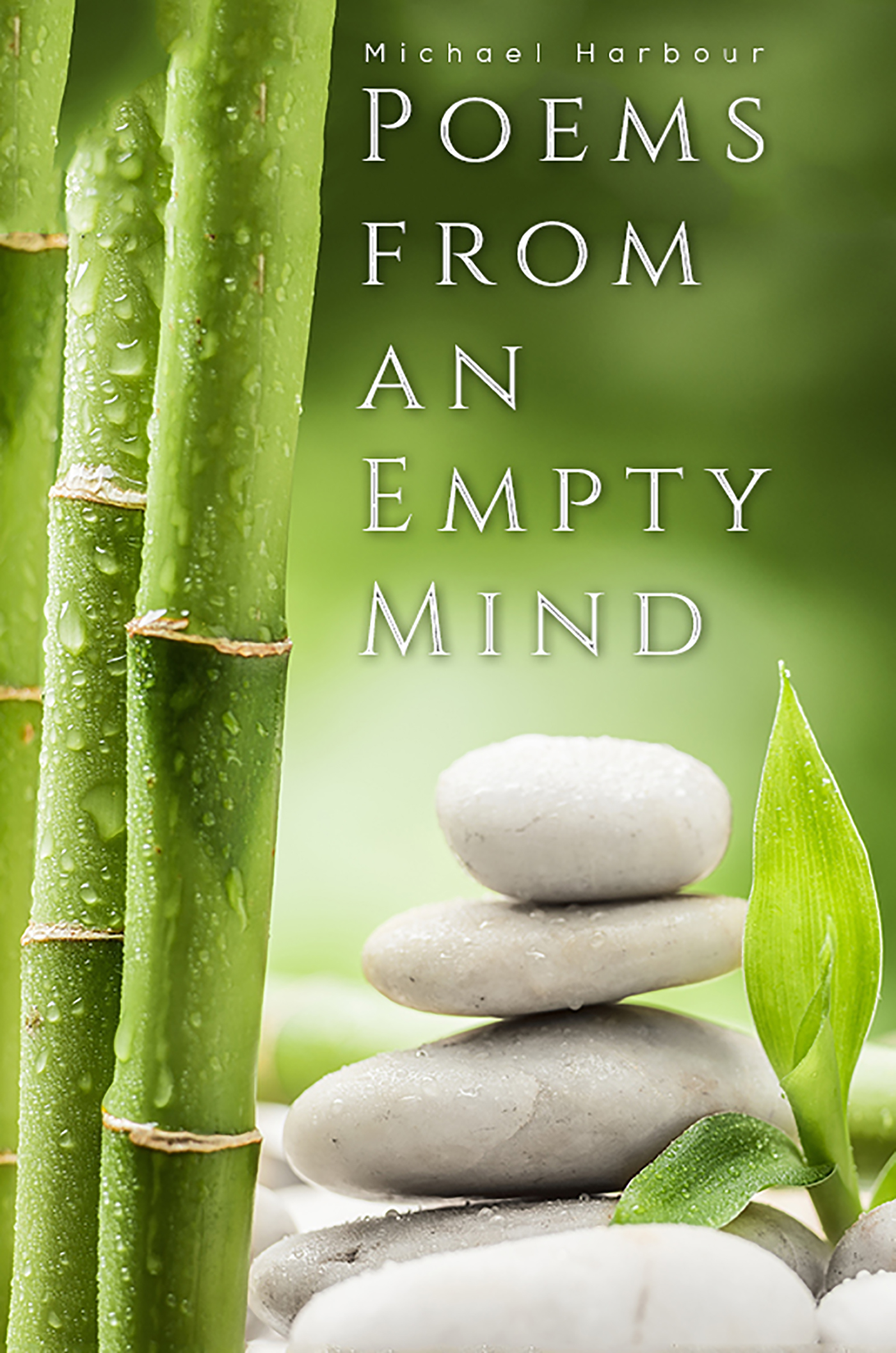 Poems from an Empty Mind (Paperback)