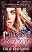 Chasing Shadows by Erin  Bedford