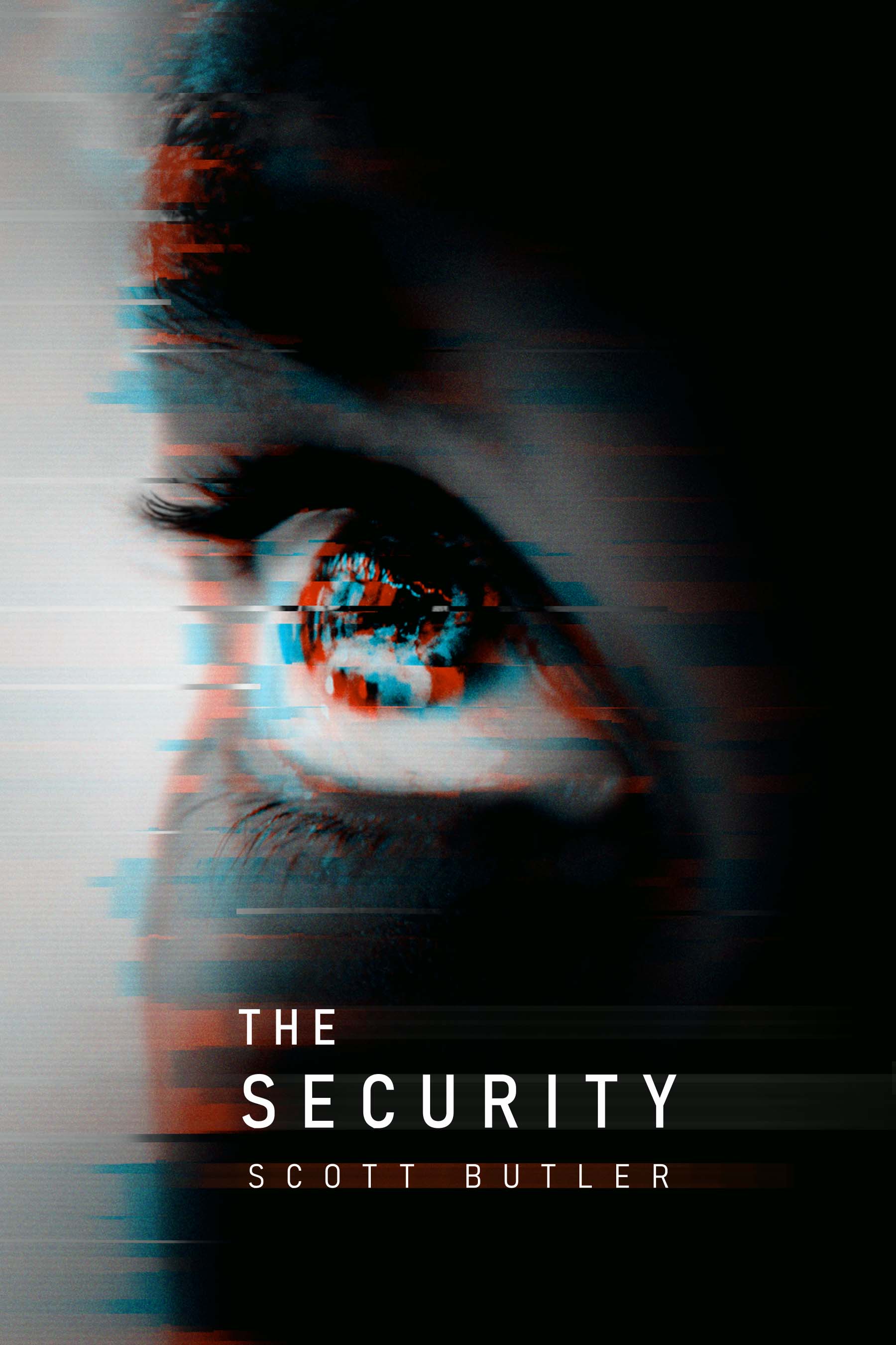 The Security (Paperback)