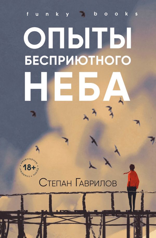 Опыты бесприютного неба (Paperback)