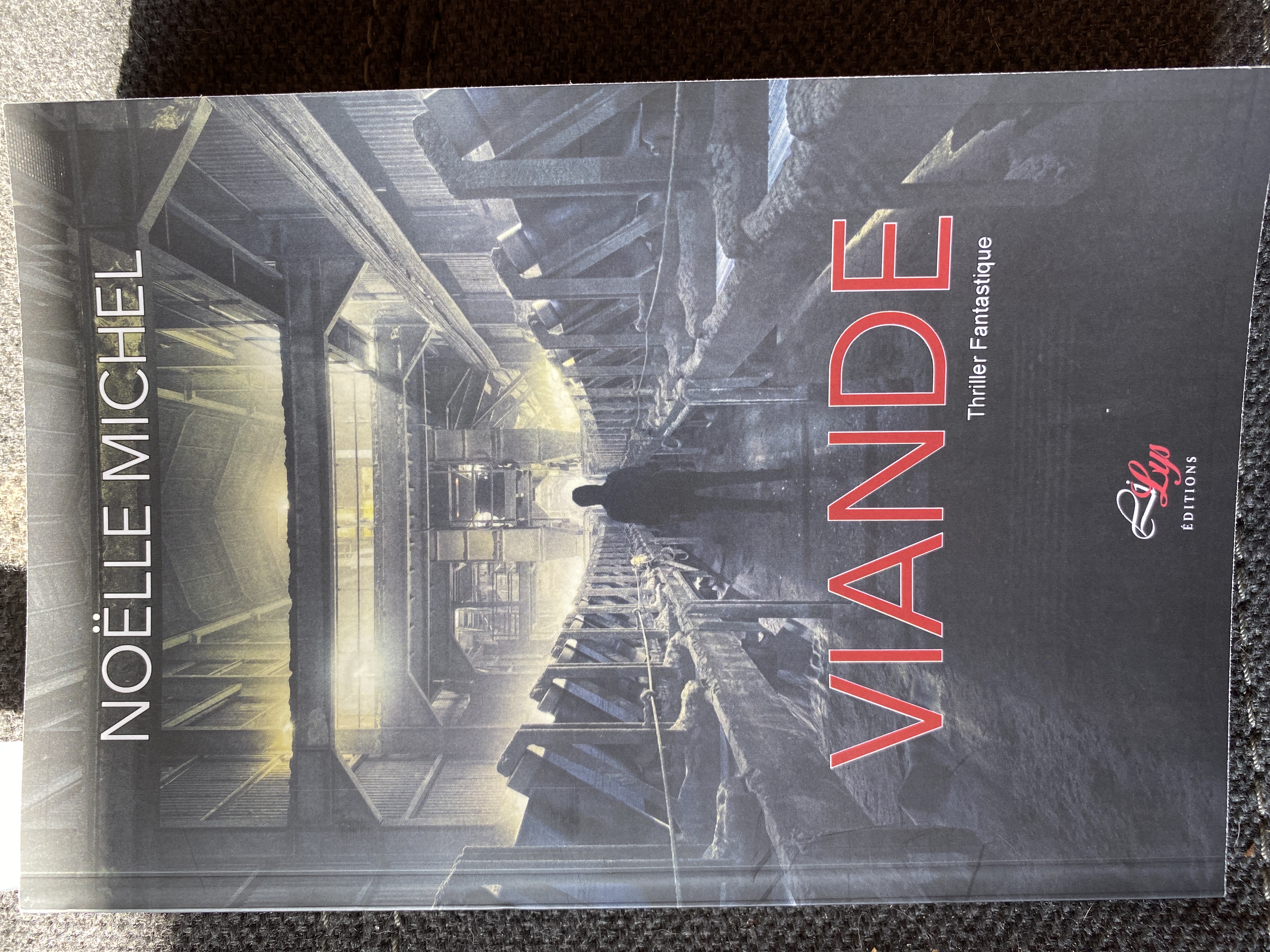 Viande (Paperback)