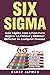 SIX SIGMA: Guia Rapida Paso...