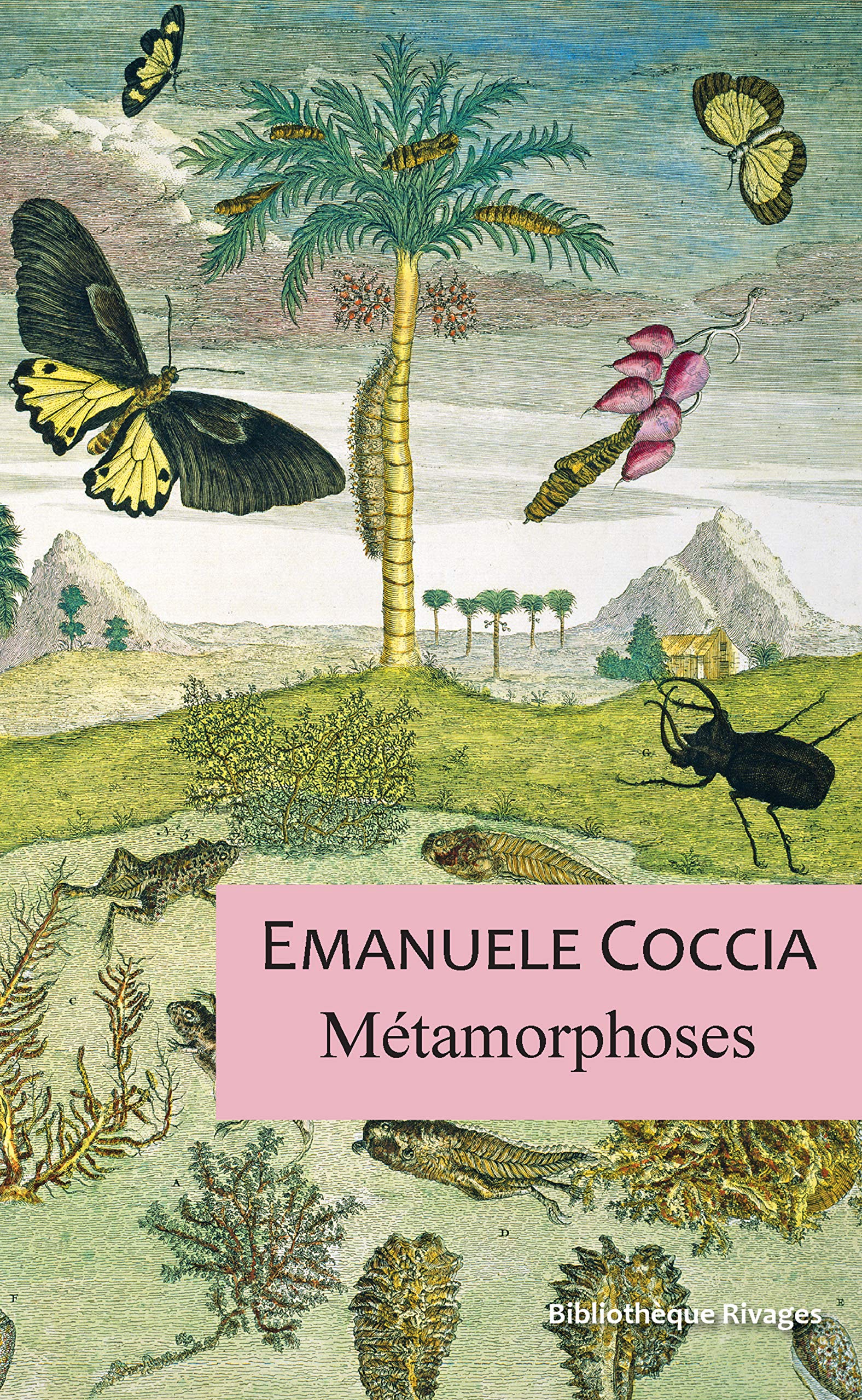 Métamorphoses (Kindle Edition)