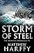 Storm of Steel (The Bernici...
