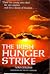 The Irish hunger strike