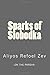 Sparks of Slobodka: Aliyos ...