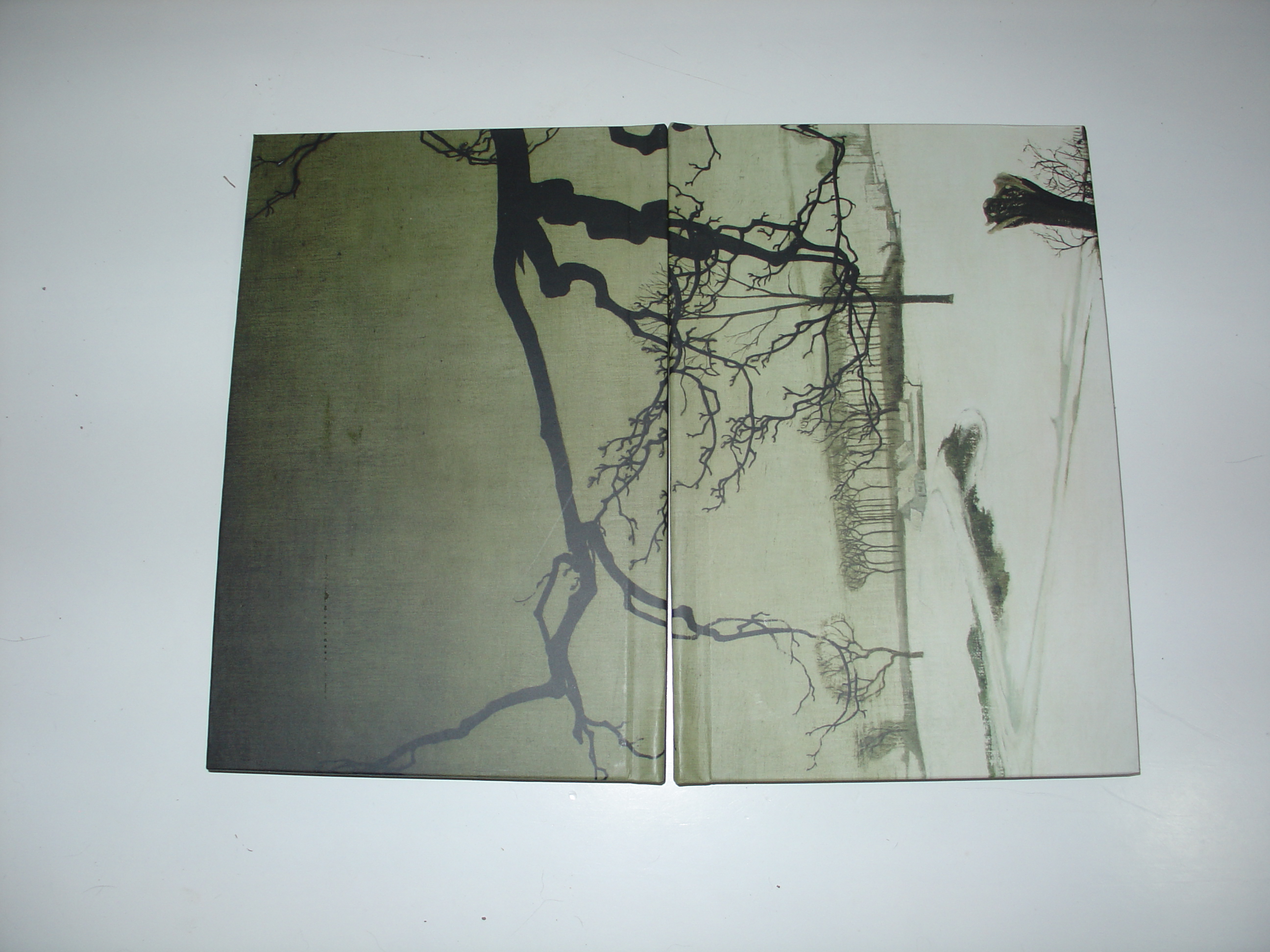 The Snow / A Neve (Hardcover)