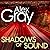 Shadows of Sounds (DCI Lorimer, #3)