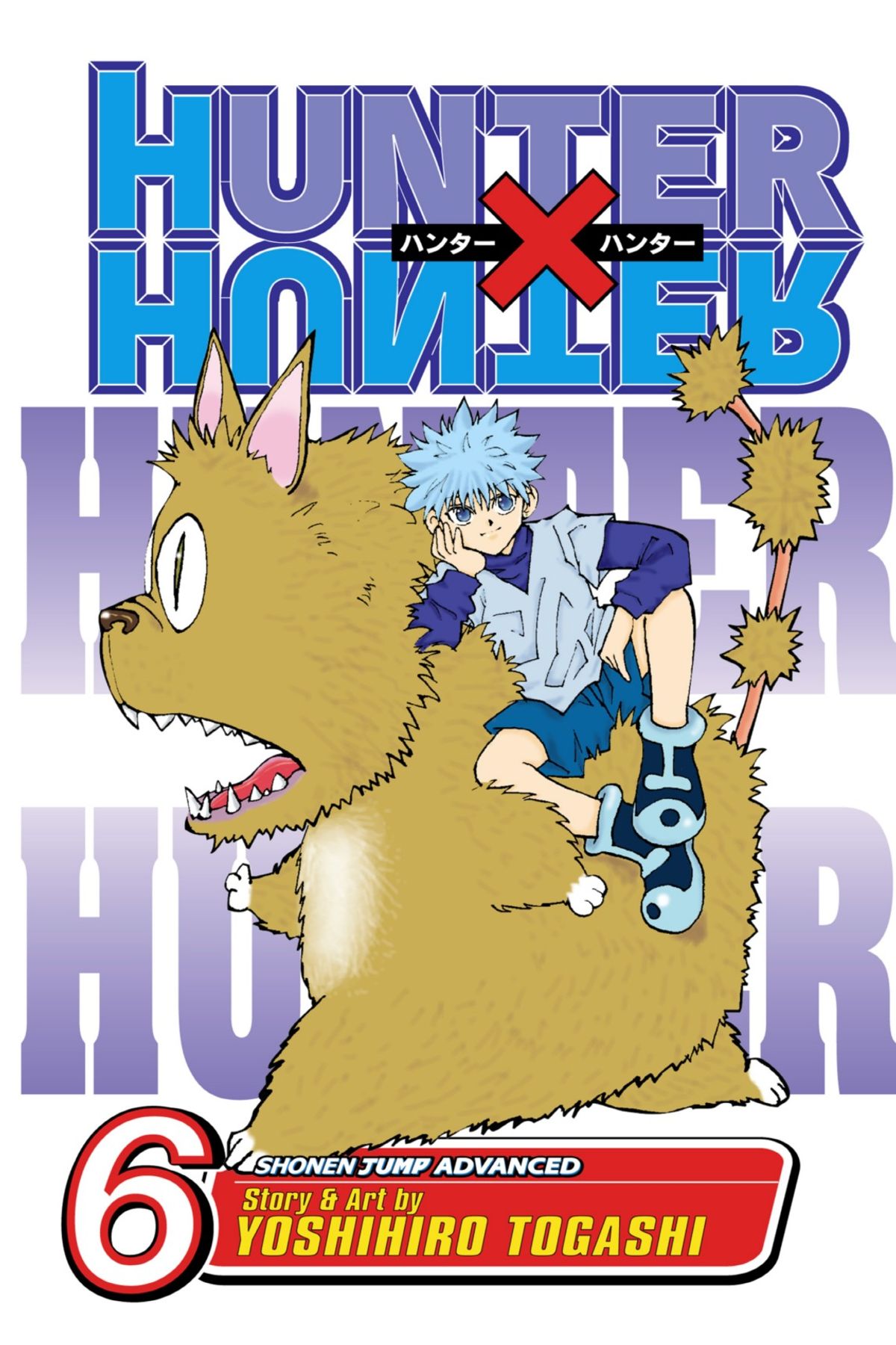 Hunter x Hunter, Vol. 6: NEN SENSE