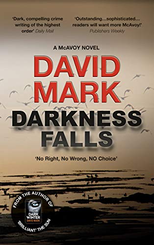 Darkness Falls (DS Aector McAvoy #0.5)