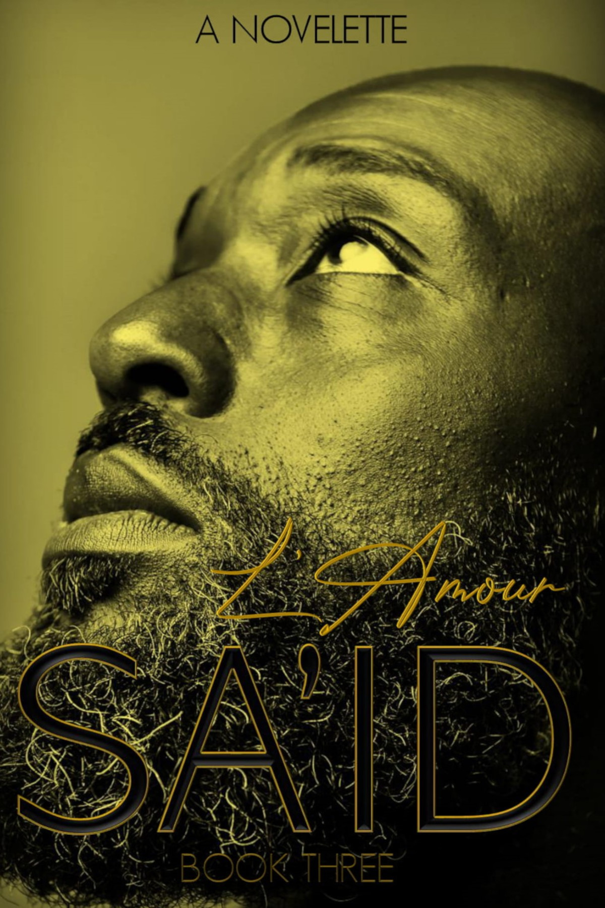 SA'ID Book 3 (SA'ID #3)