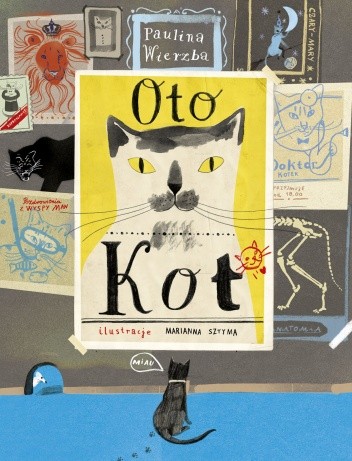 Oto kot (Hardcover)