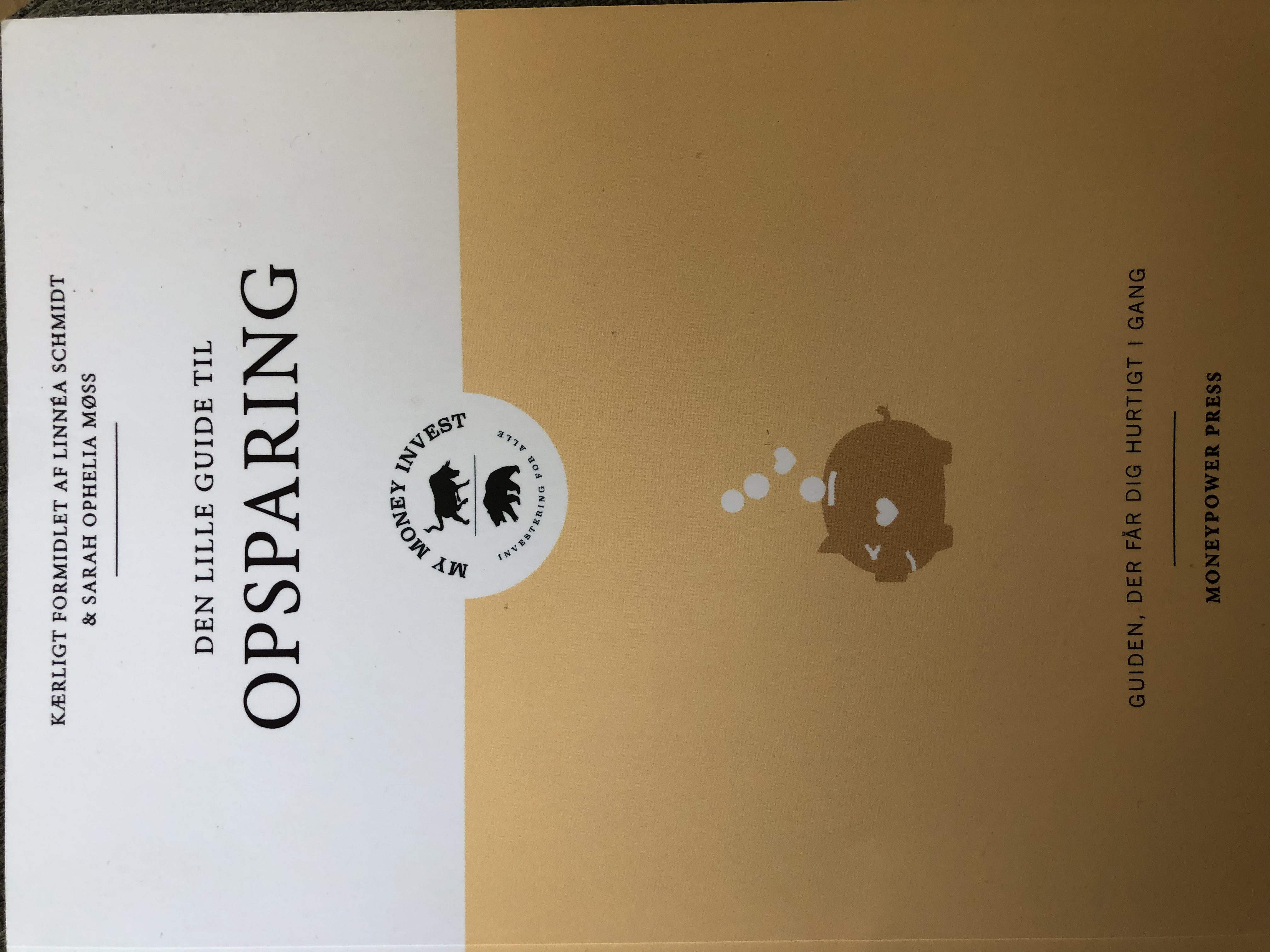 Den lille guide til opsparing