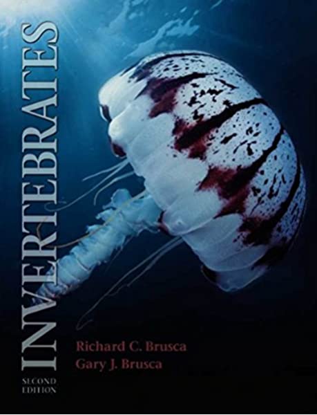 Invertebrados