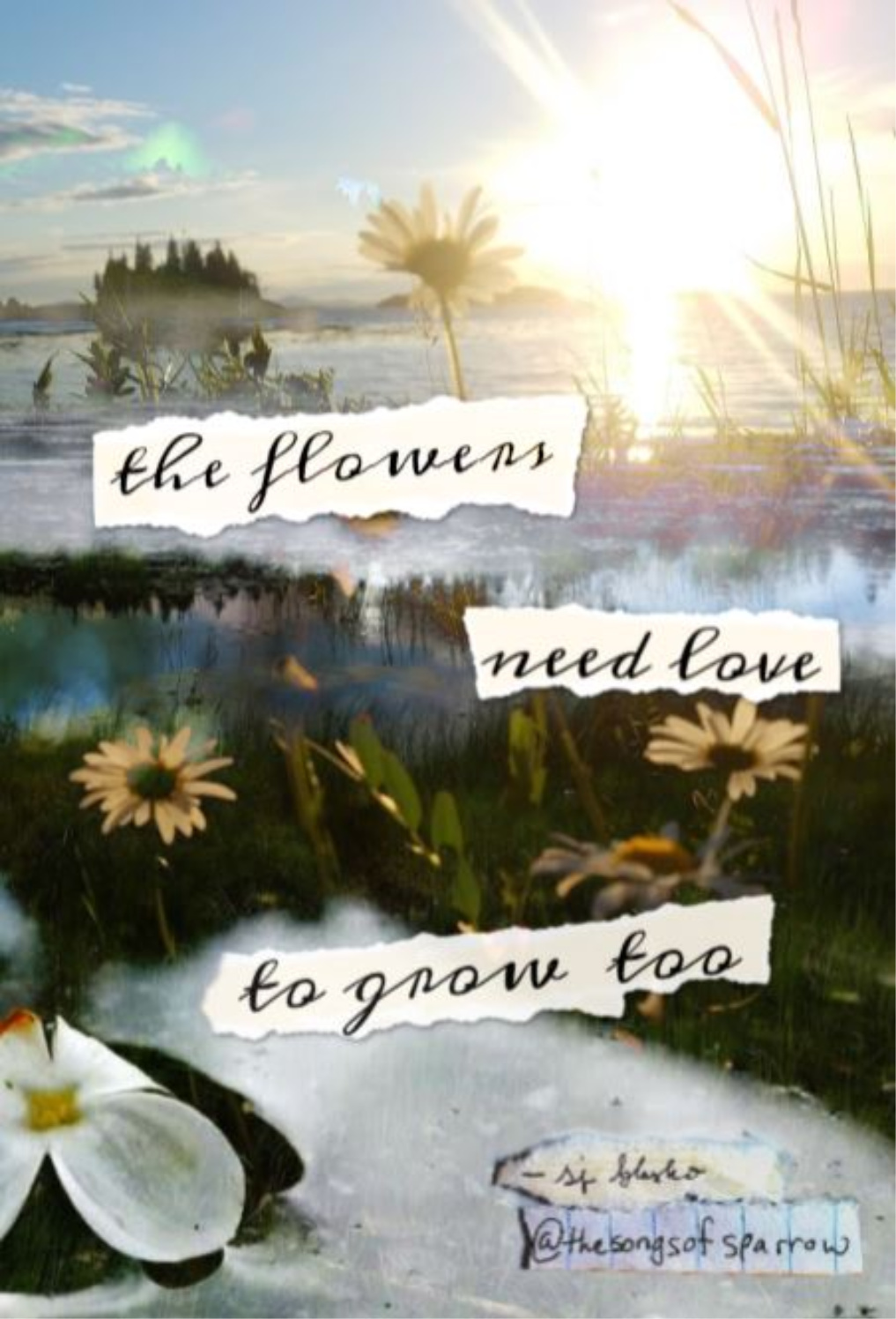 The Flowers Need Love to Grow Too