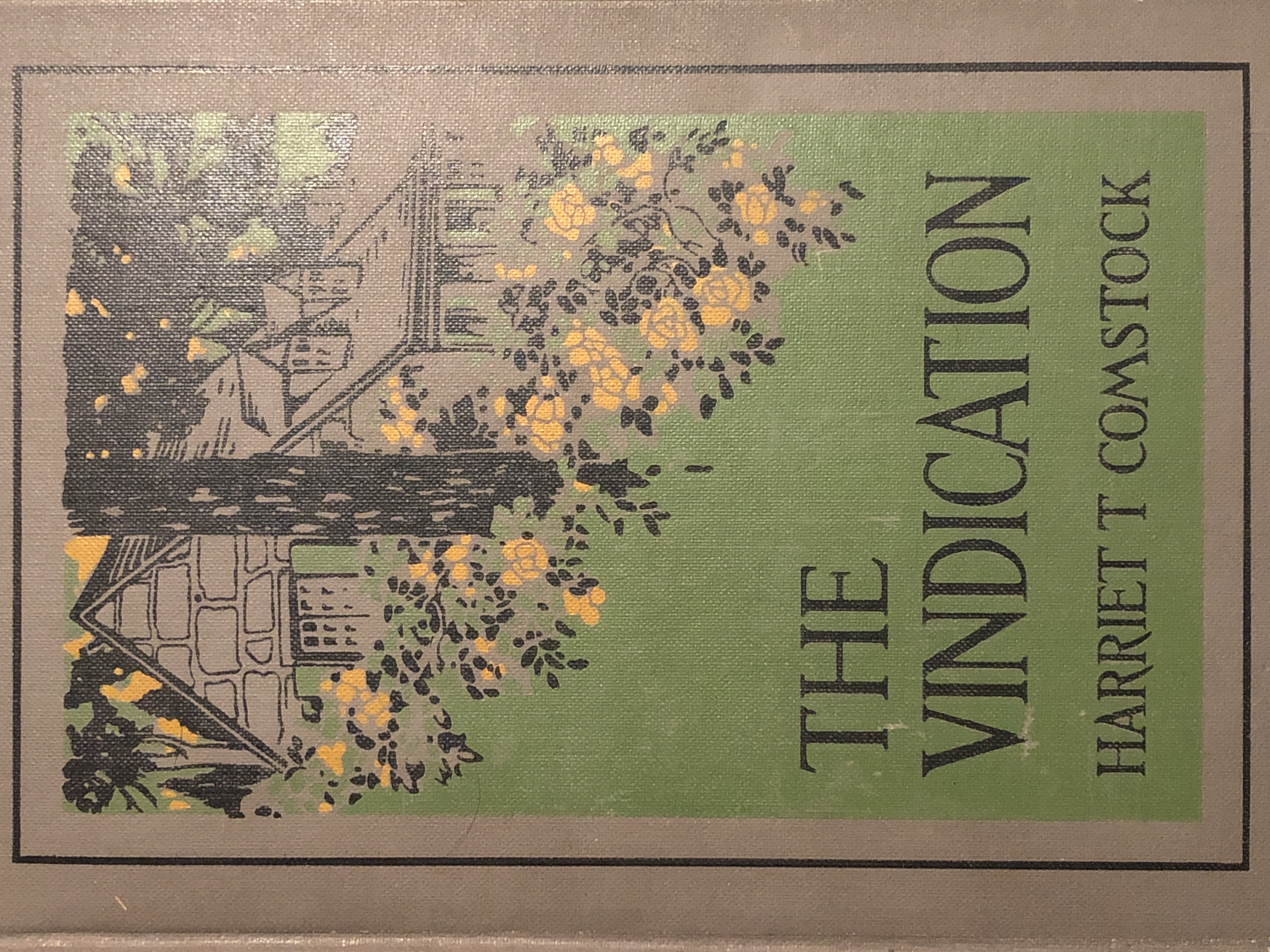 The Vindication (Hardcover)