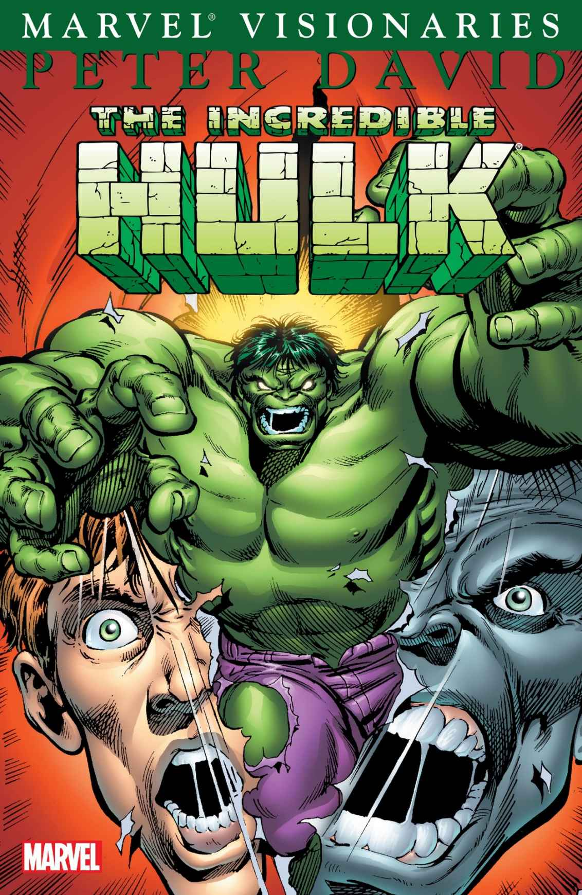 The Incredible Hulk Visionaries: Peter David, Vol. 5 (Paperback)