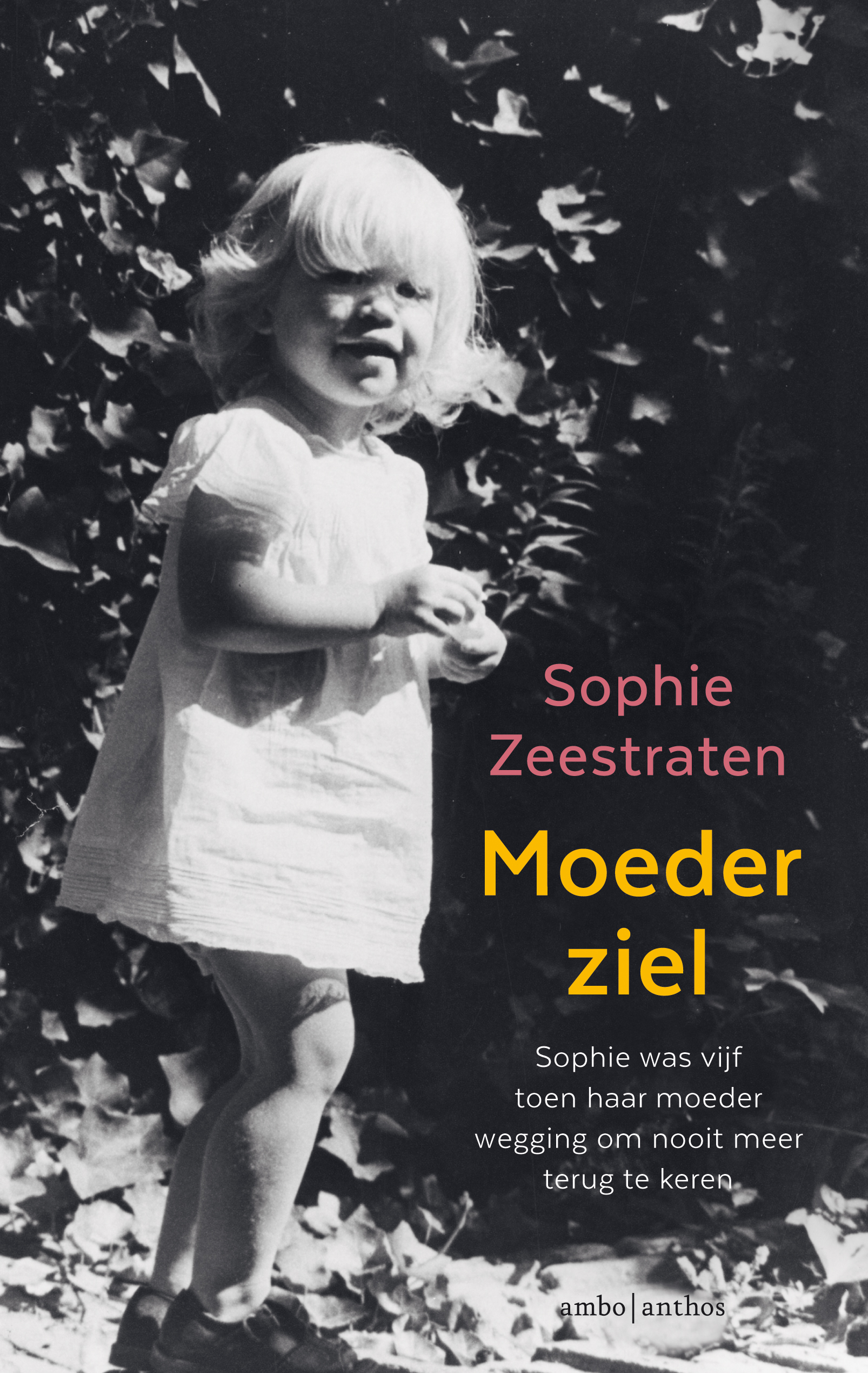 Moederziel (Paperback)