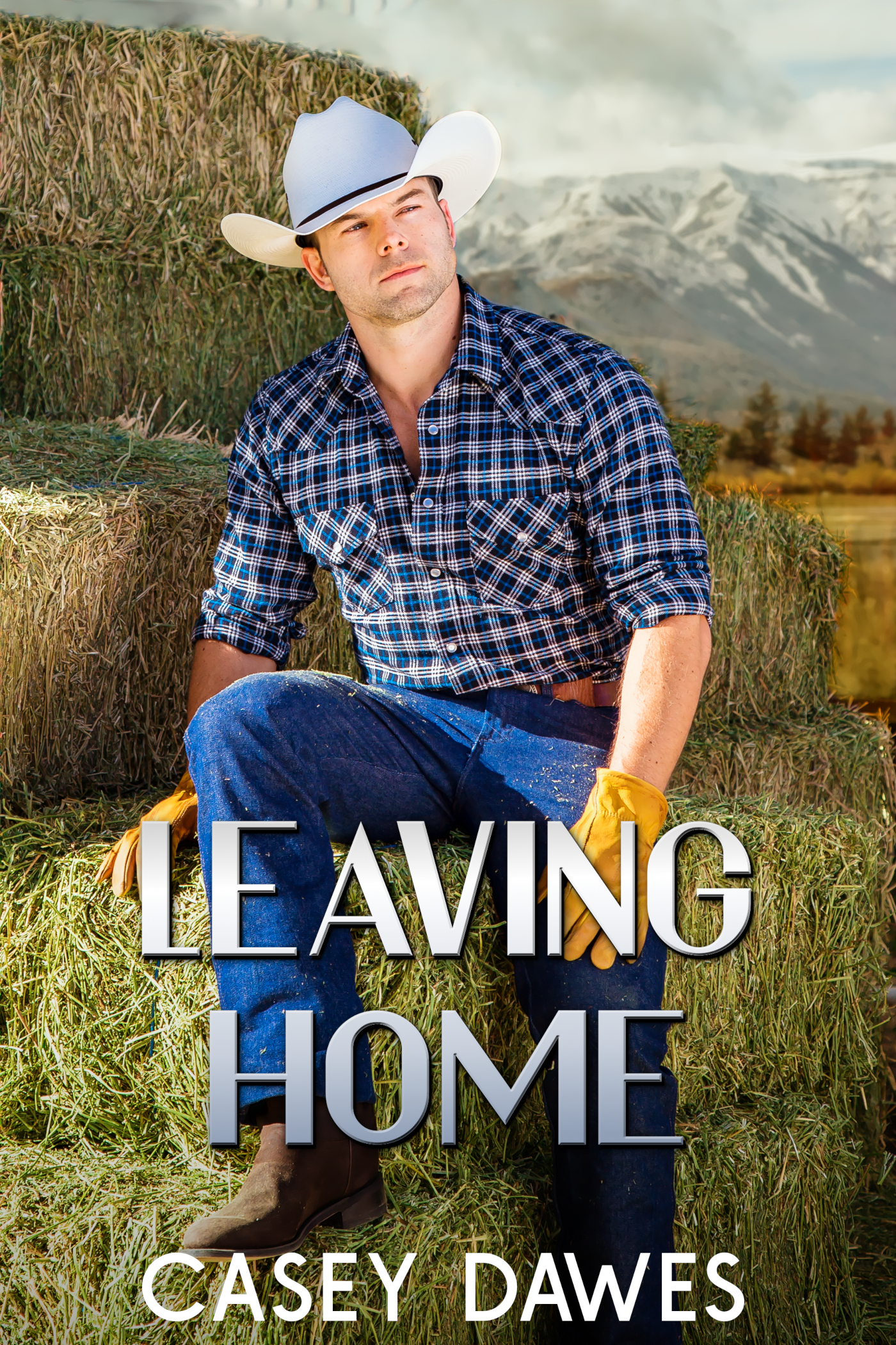 Leaving Home (Rocky Mountain Front, #3)