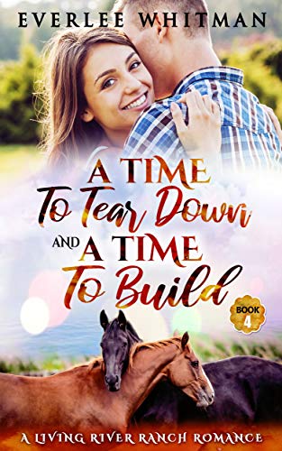 A Time To Tear Down and A Time To Build (A Time For Everything, #4)