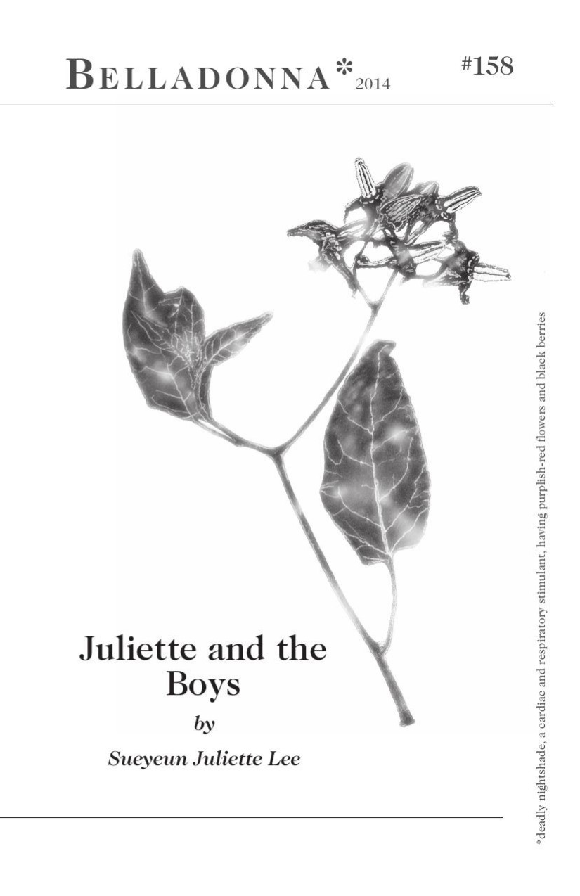 Juliette and the Boys (ebook)