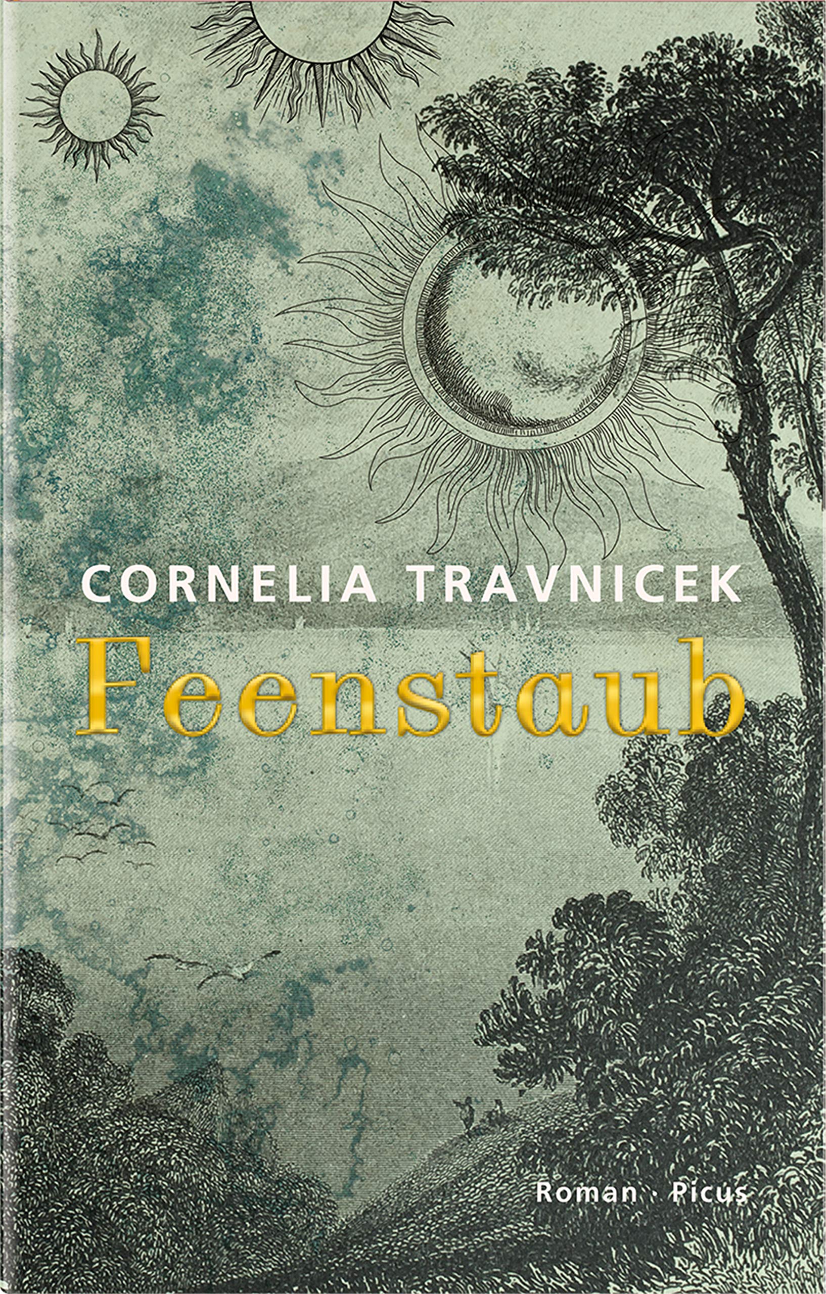 Feenstaub (Hardcover)