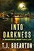 Into Darkness (Shannon Ames...