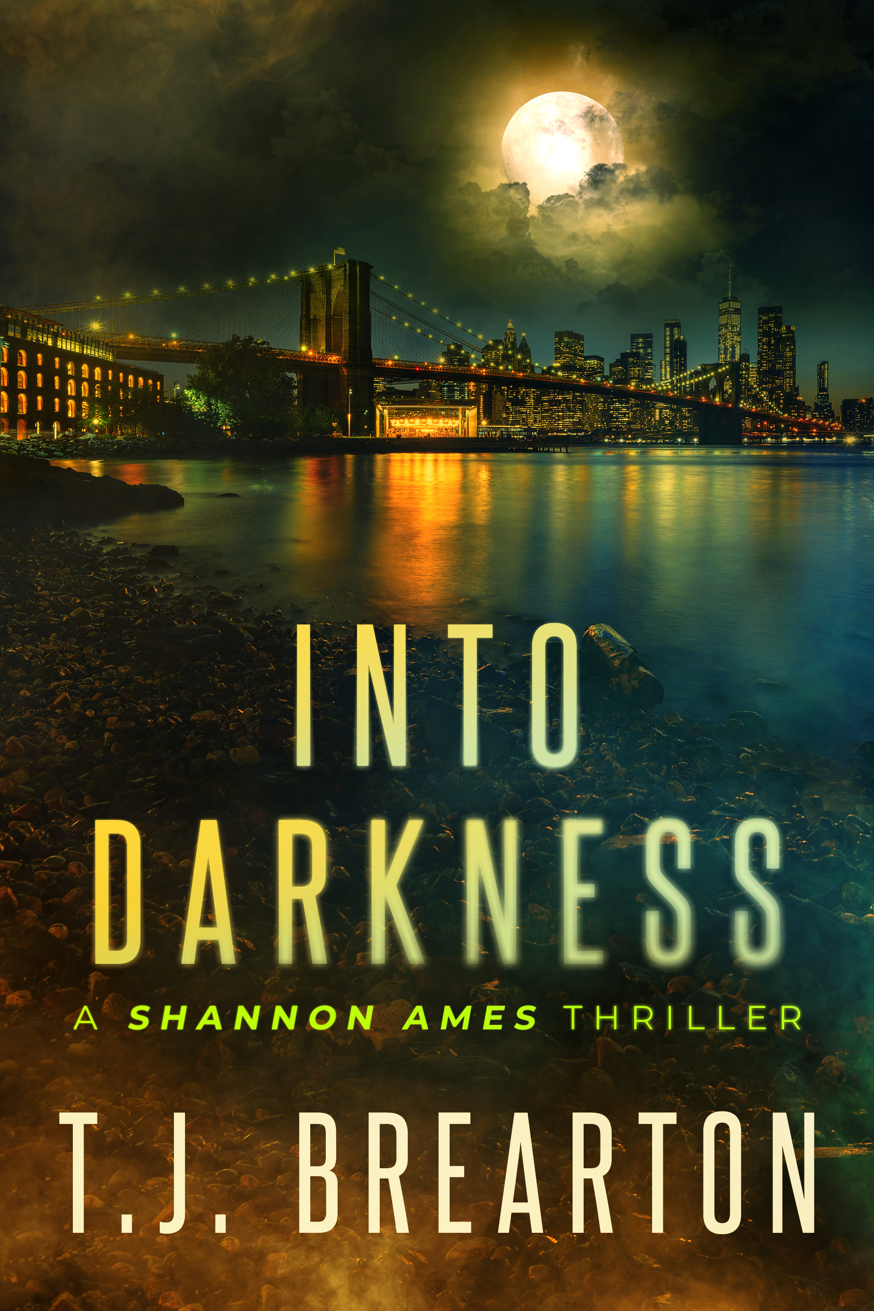 Into Darkness (Shannon Ames, #1)