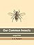 Our Common Insects: Large Print