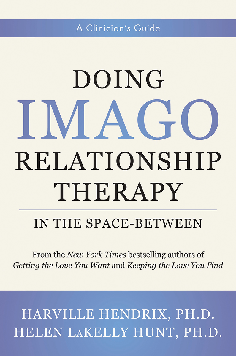 Doing Imago Relationship Therapy in the Space-Between: A Clinician's Guide (Hardcover)
