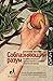 Соблазняющий разум: как выбор сексуального партнера повлиял на эволюцию человеческой природы